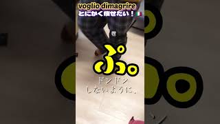 【とにかく痩せたい！🇮🇹】voglio dimagrire リングフィットで本当に痩せるのか！？#shorts #正月太り#リングフィット#イタリア人#国際結婚