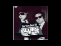 The Blues Brothers - Riot in cell block number nine