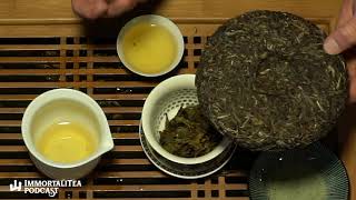 ImmortaliTea Podcast Episode 3: Autumn Yiwu Ancient Tree 2019 Sheng Puer