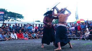 LAGA SPEKTAKULER || KELABANG GENI VS GRANDONG || PERESEAN TERBAIK PANCOR