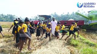 പാടം പാഠശാലയാക്കി കുരുന്നു വിദ്യാര്‍ത്ഥികള്‍.