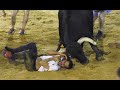 😱😱PANICO CON LOS TOROS DE ARRIAZU EN ALBAL!