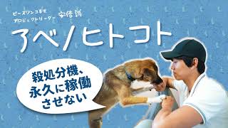 殺処分機は二度と稼働させない（アベノヒトコト）～ピースワンコ・ジャパン