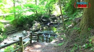 埼玉県名所巡り－彩情景 「風のみち歩道」 / Tour attractions in Saitama Prefecture. \