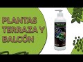 🟢 APRENDE a USAR nuestros ABONO PARA PLANTAS DE TERRAZA Y BALCÓN en 1 Minuto 🚀 (Cultivers Eco)