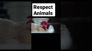 Respect Animals