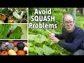 How to Avoid Common Squash Problems