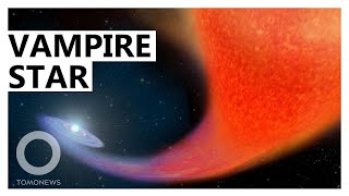 Vampire star sucking its companion dry - TomoNews