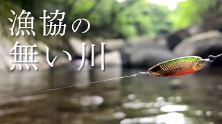 漁協の無い川でアマゴは釣れるのか？【渓流ルアー】