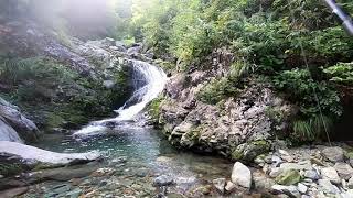 【渓流釣り】初めての秋田県での渓流釣り