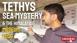 We visited the Tethys Sea  Fossil Museum and Explored its Connection Between the Himalayas