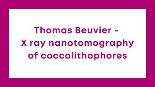 Thomas Beuvier - X ray nanotomography of coccolithophores