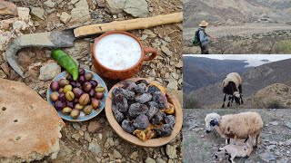 الحياة الراعي الغنم في وسط جبال أيت وياغر..نواحي الحسيمة