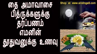 தை அமாவாசை பித்ருக்களுக்கு தர்ப்பணம் எமனின் தூதுவனுக்கு உணவு |Thai Amaavasya Worship Method