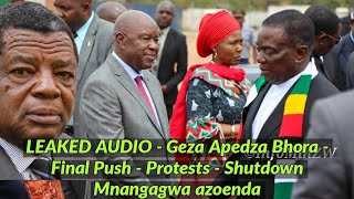 LEAKED AUDIO - Geza Apedza Bhora - Final Push - Protests - Shutdown Mnangagwa azoenda🇿🇼