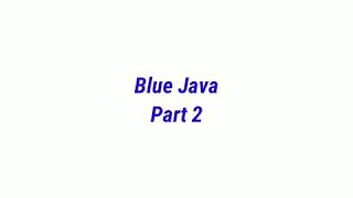 Class 10 Blue Java-Functions Part2