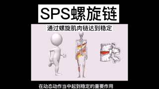 SPS螺旋肌肉链简介