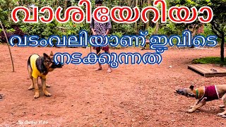 ഓണാഘോഷമത്സരങ്ങൾ 🤟part -2|onam celebration |leo|laika| chottuz