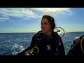 diving paradise red sea marsa alam part i