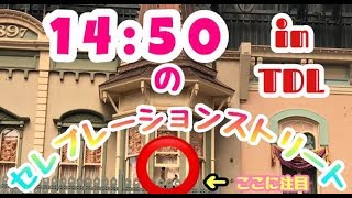 【セレブレーションストリート】14:50のハピエスト【ディズニーランド】