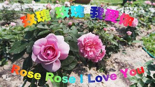 2021台北玫瑰展 - 花博公園新生園區「台北玫瑰園」 TPE Rose Festivals 2021 at TPE Rose Garden, Hsin Shen Park *玫瑰玫瑰我愛你