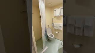 Carnival Panorama 3-Person Interior Room Tour in Cloud Spa | Room 11208 | Shorts