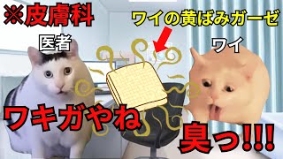 【猫ミーム】ワキガの検査でガーゼを脇に挟んだら、生臭い悪臭が充満し大パニックになった話＃猫マニ＃猫ミーム