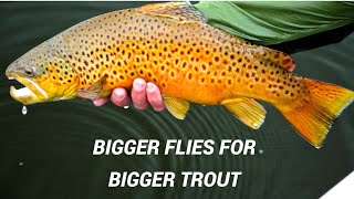 Using Bigger Flies for Bigger Trout