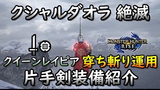 【MHRise】クイーンレイピア穿ち斬り構成装備紹介【ライズ】