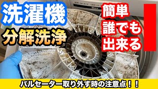 【必見】簡単！！洗濯機の分解掃除！！パルセーターの外し方と注意点。パナソニック　NA-FA70H5　洗濯機清掃　年末大掃除　環境に優しいエコ、オーガニック洗剤　ソーダサン　エコストア　重曹での掃除