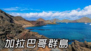 嫦娥奔南北極 探訪加拉巴哥群島-1【第五十三集】Travel around and discover the wonders of life