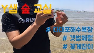 Y샘 숲 교실 - 다대포해수욕장을 다녀왔습니다. 갯벌체험 해보실래요?