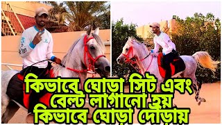 কিভাবে ঘোড়া সিট এবং বেল্ট লাগানো হয়!! কিভাবে ঘোড়া চালাতে হয়