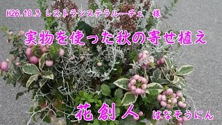 真珠の木チェッカベリー実物を使って【秋の寄せ植え】花創人はなそうにん岐阜愛知寄せ植えハンギングバスケット教室