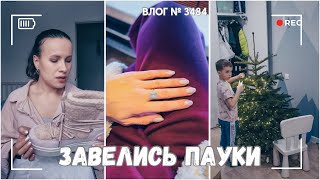 ВЛОГ №3484: В нашей елке пауки! Срочно ее убираем | Распаковка моих покупок  15.01.25