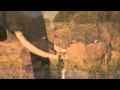 Sunpath Canoeing Safaris Mana Pools shared by Inspiration Zimbabwe