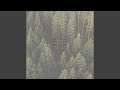 Whispering Pines