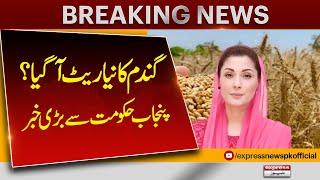 New Wheat Price In Punjab | Farmer In Pakistan | Latest News | Pakistan News