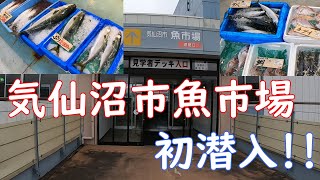 【宮城一人旅】海の市に、丸ごと1匹の魚が沢山!!気仙沼市魚市場に初潜入!!【旅行Vlog】