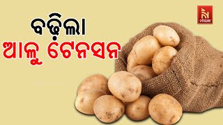 Potato Crisis in Odisha Continues: Potato Traders Association Decides to Get Supply from UP in Train