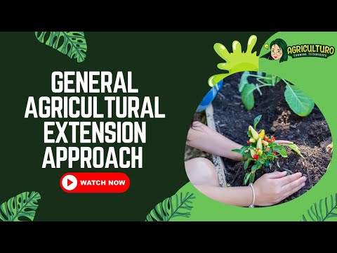 What is extension approach?