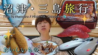 Numazu Mishima Trip