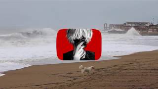 Sad Background Music - No Copyright - Free To Use [Royalty Free Music]
