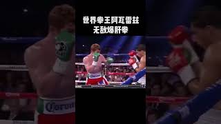 世界拳王阿瓦雷茲，無敵爆肝拳！Canelo Álvarez #阿瓦雷茲 #世界拳王 #拳王 #Canelo #格鬥 #格鬥迷 #mma #shorts