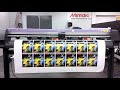 mimaki cg 160fxiiplus id cut demo