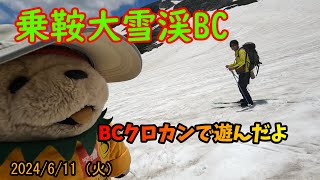 【BCクロカン】雪は滑りやすく斜面はフラット！6月の乗鞍大雪渓もいいね♪