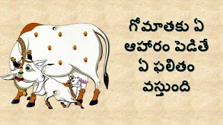 గోమాత కి ఏ ఆహారం పెడితే ఏ ఫలితం వస్తుంది? #what #food #to #feed #cows #and #the #result #hindu #god