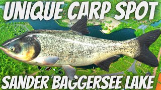 Fishing Planet SANDER BAGGERSEE LAKE Germany Unique Big Head \u0026 Silver Carp Xp  Money Farm Best Place