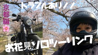 近況ツーリング報告♯３　京都お花見ソロツーリング🌸途中、トラブルに巻き込まれる！！YAMAHABOLTで行く【バイク女子】