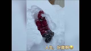 日本當地居民也傻眼的北海道大雪‼️